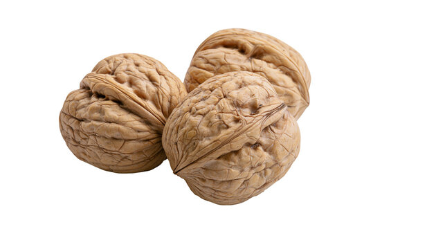 Three whole organic walnuts with textured brown shells