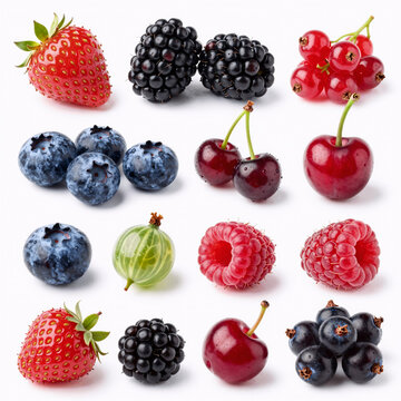 Blueprint Blueberry Gooseberry. Isolated Berry Collection (Strawberry, Blackberry, Blueberry, Cranberry, Cherry, Gooseberry, Raspberry, Red And Black Currants) On White Background With Clipping Path