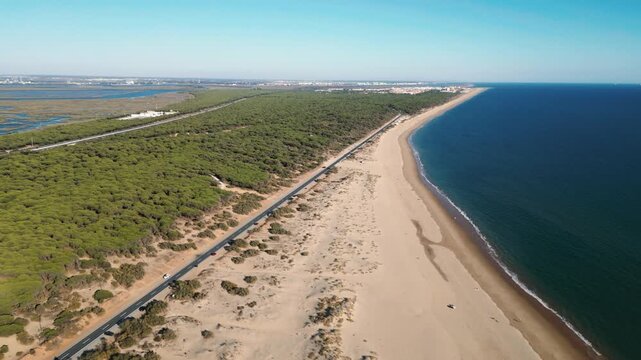 Long coastal road running parallel to a pristine sandy beach with dense green forest and low-lying wetlands beside the deep blue ocean in a tracking shot for sustainable tourism and eco resorts.