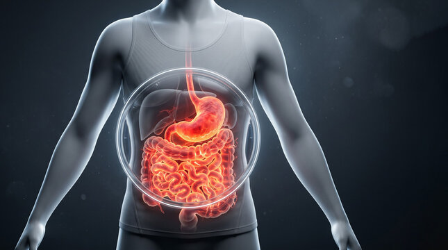 An anatomical torso with glowing intestinal tract showing severe cramps, stomach irritation and Digestion Diarrhea