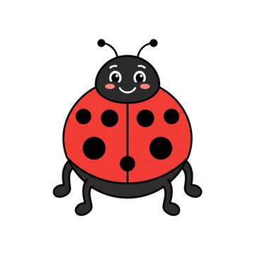 Cute Ladybug