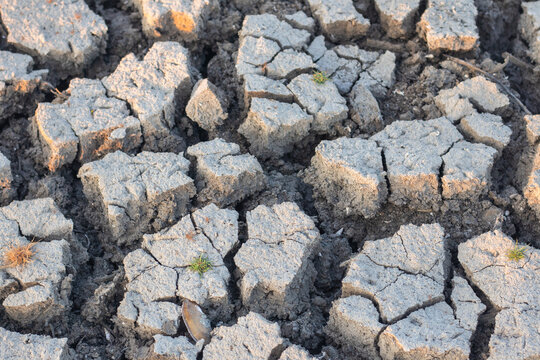 Close Up of Dry Cracked Soil Texture