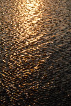 Golden Sunlight Reflection on Rippling Water