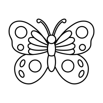 butterfly vector illustration for coloring children book