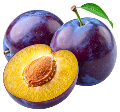 Fresh Ripe Plums One Whole and One Halved.
