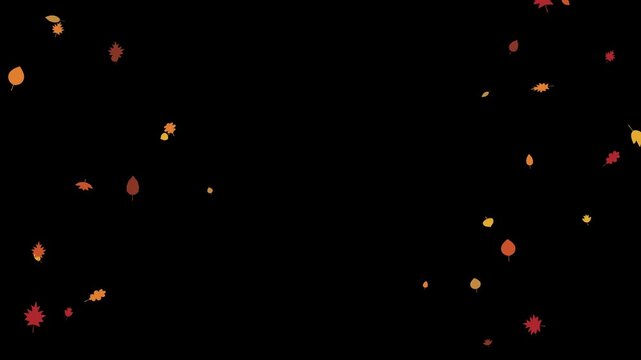 Autumn leaves falling on black background, seasonal foliage motion graphics, orange and red leaf animation for video overlays and transitions