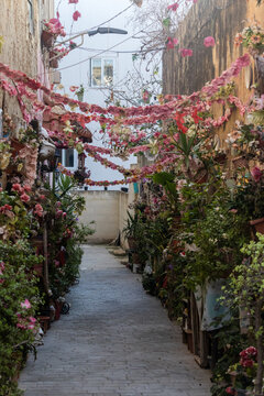 Flower-Decked Narrow Alleyway With Hanging Pink Garlands And Lush Potted Plants