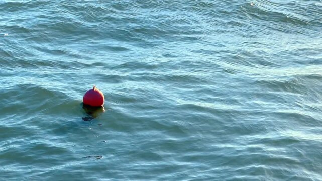 Single red buoy floating in blue ocean water. A lone maritime navigation marker bobs on the undulating surface of the sea.