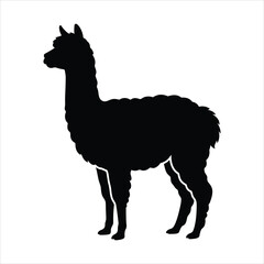 Fototapeta premium Llama standing side view silhouette vector illustration isolated on white