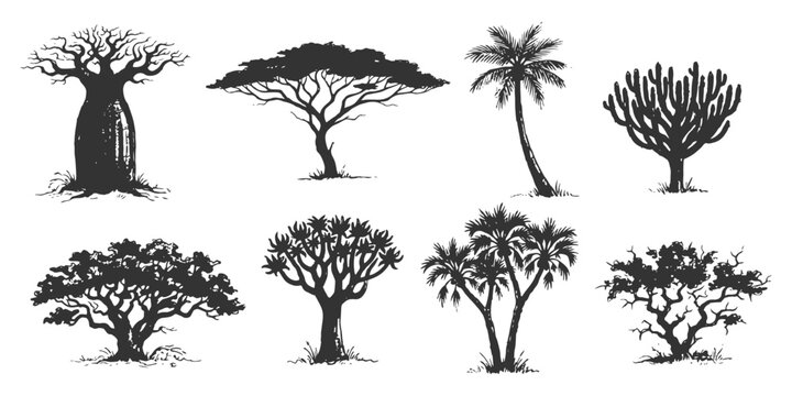 trees silhouette set including baobab palm acacia vector illustration hand drawn wild nature flora elements.