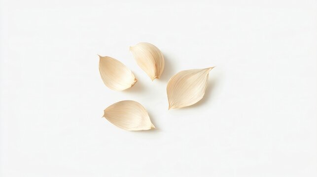 White garlic cloves isolated