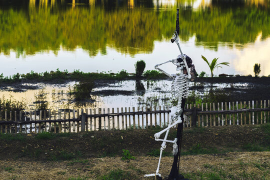 Plastic pirate skeleton prop wear skull eye patch and headscarf, holding antique flintlock pistol pointing upwards, making hand visor gesture looking far away. Concept for Halloween outdoor displays.