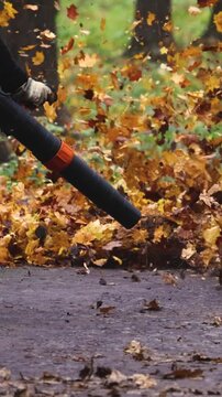 Worker with a backpack petrol leaf blower removing fallen autumn leaves on a park path, seasonal cleaning of yellow and brown foliage with garden power tools, municipal park maintenance in autumn
