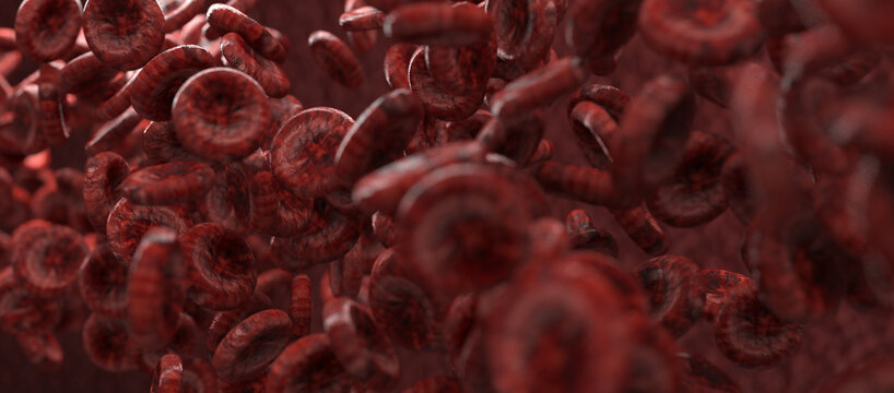 Microscopic view of unhealthy damaged red blood cells flowing through a vein