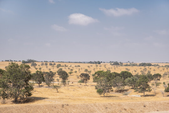 agriculture and afforestation efforts. soil berms and earthen berms designed to catch rainwater run-off and prevent soil erosion in the arid Negev desert, Israel.