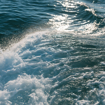 The foamy white surface glistened under the harsh strobe effects of daylight