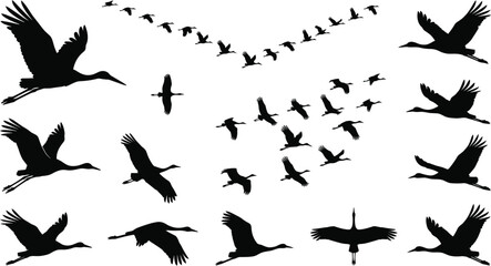 Fototapeta premium Flying Stork and Crane Bird Silhouette Vector Set with Migrating Flocks in V Shape Formation Graphics for Nature Designs