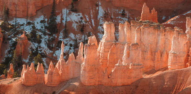 Bryce