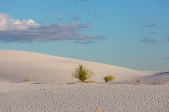 White sand dunes