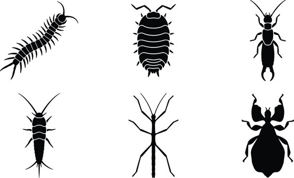 Insect and Bug Silhouette Icon Collection with Centipede Earwig and Stick Insect Symbols for Pest Control Graphic Design Projects