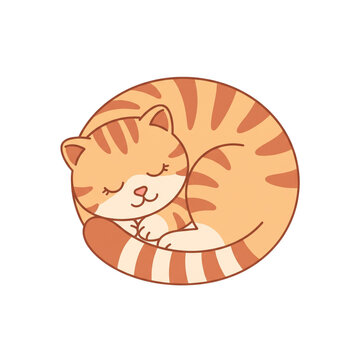 Sleeping Cat