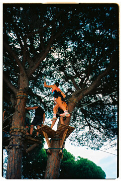 Treetop Balance Challenge