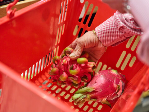 Picking Fresh Dragon Fruit in a Market Basket