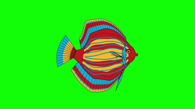 Cartoon Tropical Fish Swimming Across a Vibrant Green Screen