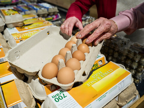 Shopping for Eggs at Grocery Store
