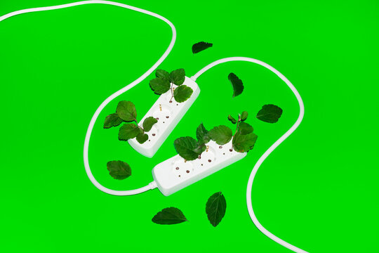 Conceptual image of green renewal energy. Leafs growing from cords