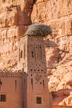 White stork nesting on an ancient mudbrick Kasbah tower in Morocco