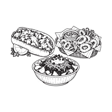 Seafood and Pasta Line Art Collection, Grilled Fish, Fried Calamari and Seafood Pasta Bowl Illustration.