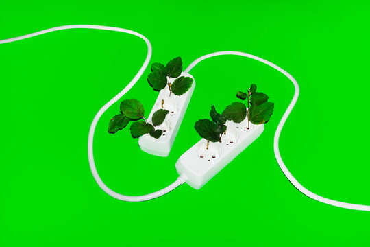 Conceptual image of green renewal energy. Leafs growing from cords