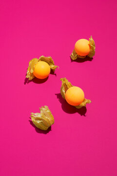 Ping pong ball with leaves of ground cherry on bright pink background