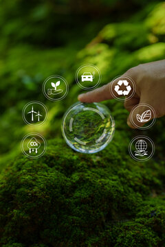 Concepts,renewable energy, and sustainable development.