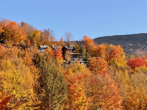 Lodge high in the mountains surrounded by the colors of fall foliage