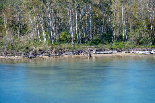 Baumwurzeln ragen am Ufer in das Wasser