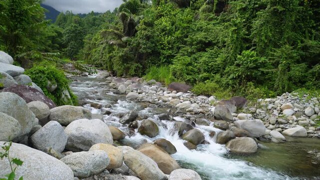 Wide Rocky Tropical River Flowing Through Forest