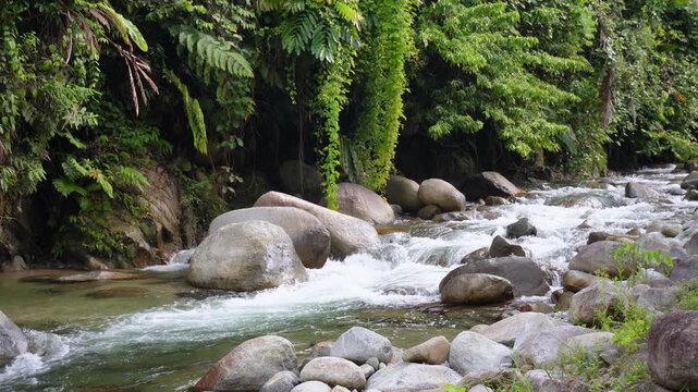Fast Flowing Tropical River Between Giant Boulders