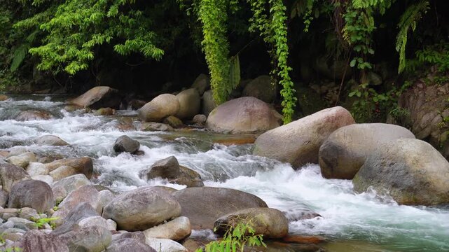 Mountain River Flowing Through Tropical Rainforest