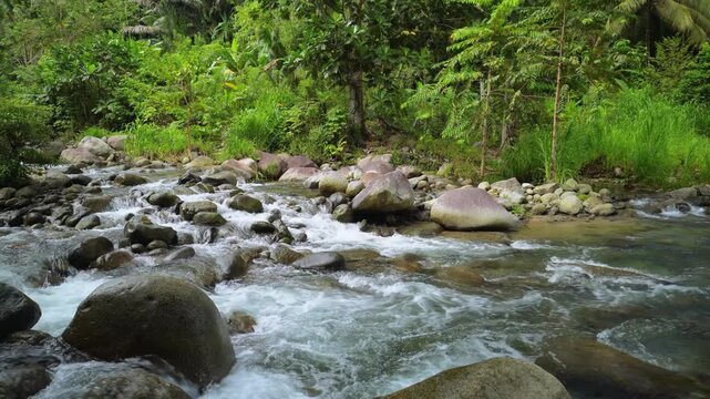 Scenic Rocky River Flowing Through Tropical Forest
