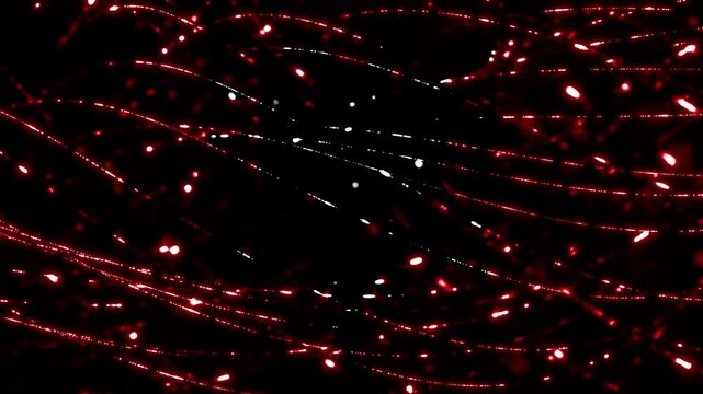 Abstract red and white light streaks and particles on black background, resembling albanian flag colors