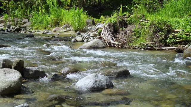 Shallow Rocky Stream in Tropical Rainforest