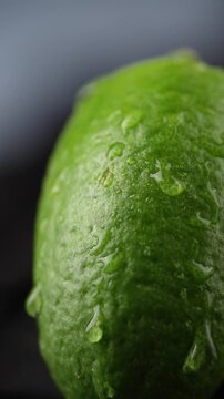 Fresh Gondhoraj Lemon with Water Droplets CloseUp video.