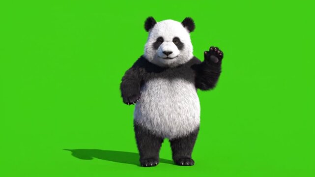 3d giant panda character dancing and waving on green screen
