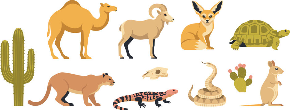 Desert Animals and Wildlife Icon Set with Camel Fennec Fox Cougar Lizard Rattlesnake and Cactus Flat Vector Illustration for Nature Education Designs