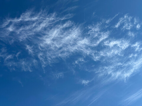 Cirrus cloud in the sky