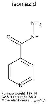 Chemical structure of isoniazid, drug substance