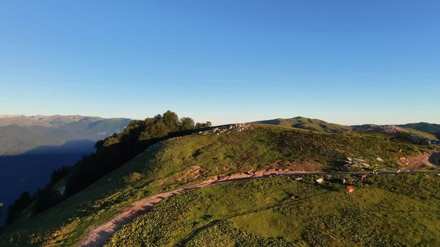 Remote rural dirt path on a green hill slope under deep blue sky