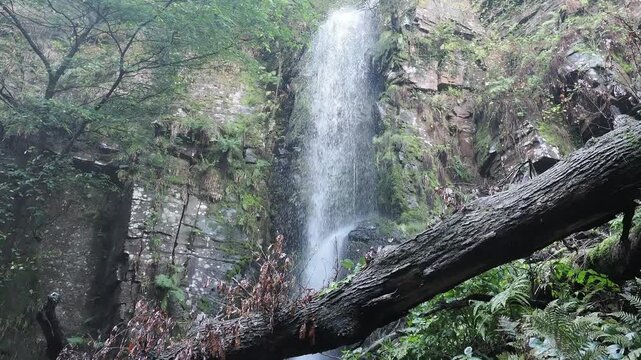 Melincourt Falls waterfall, a dramatic fall cascading through a lush woodland nature reserve in the Vale of Neath, South Wales UK, waterfalls stock video footage clip